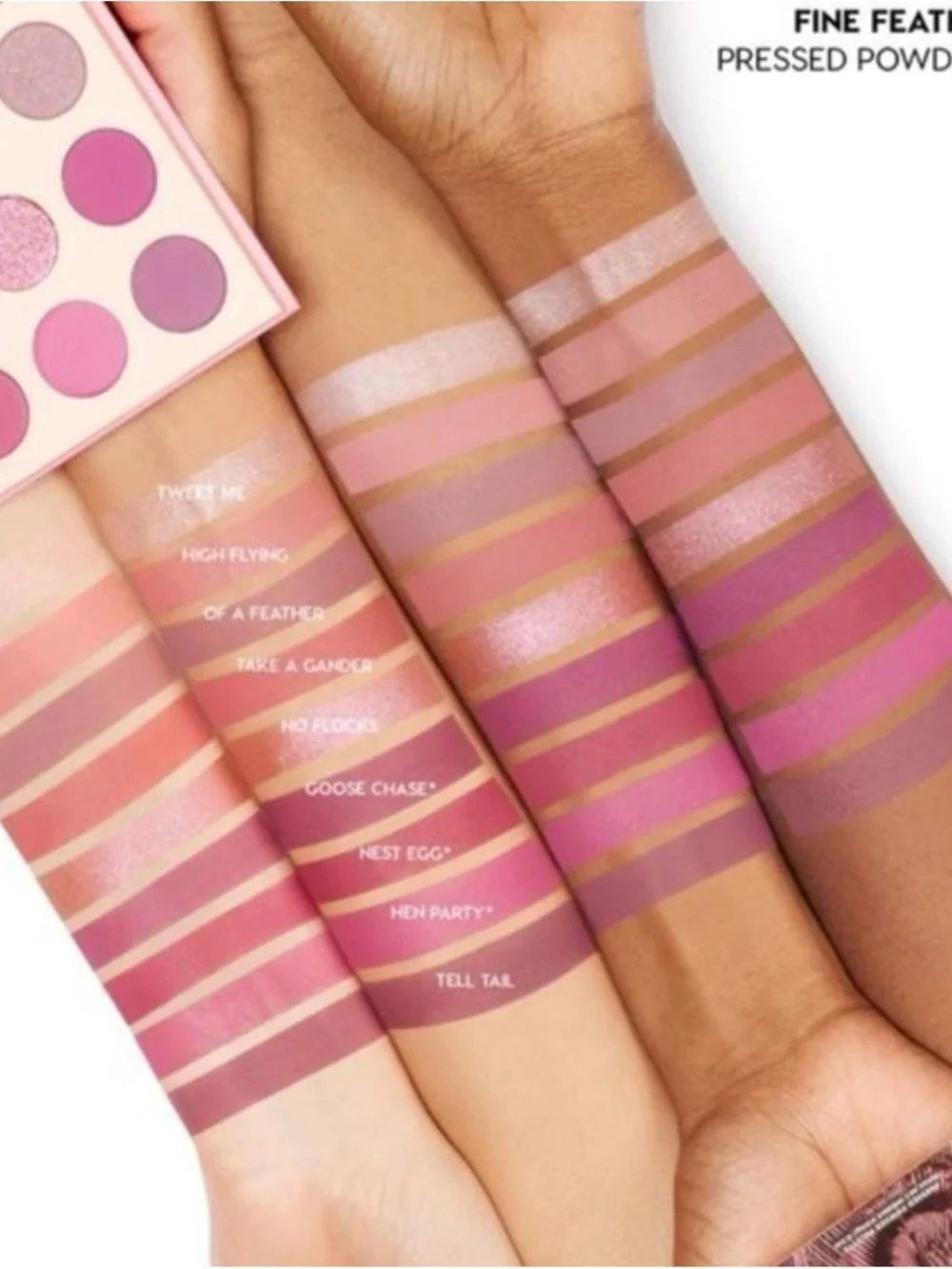 Colourpop spread your